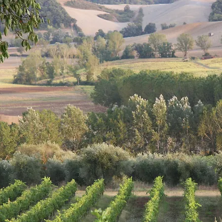 Podere San Simone